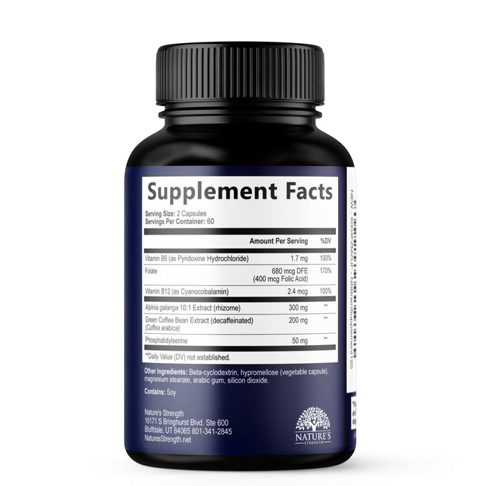 Brain Memory – 120 Capsules