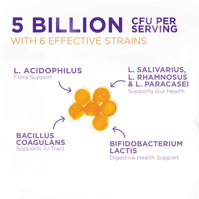 Daily Probiotic Gummies – 5 Billion CFU – 120 Gummies