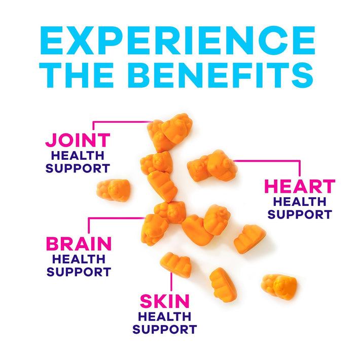 Turmeric Gummies Sugar Free – 60 Count