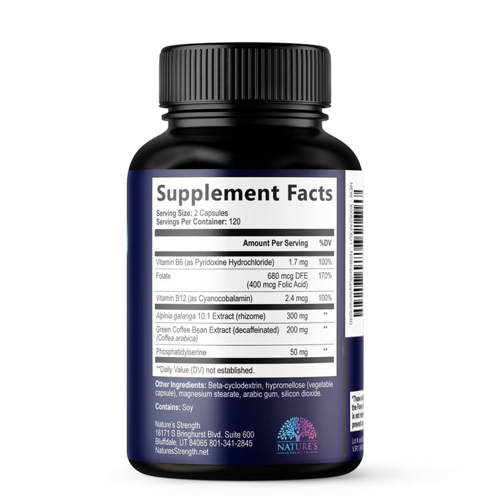Brain Memory Supplement Pills - Nootropics Support for Concentration, Clarity, Alertness & Focus - Brain Health with Bacopa, Cognitive Vitamins, Phosphatidylserine, DMAE - Brain Booster - 240 Capsules