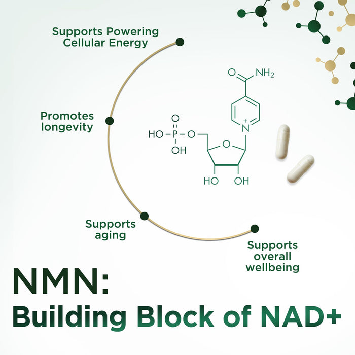 NMN – 500mg – 120 Capsules