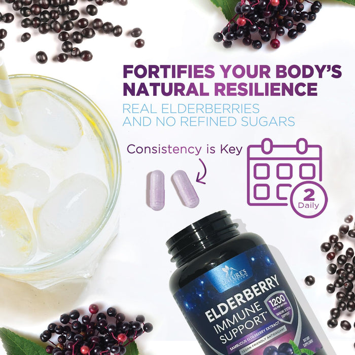Elderberry – 1200mg – 120 Capsules