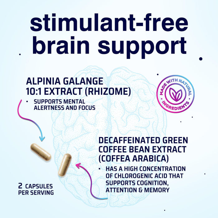 Brain Memory – 120 Capsules