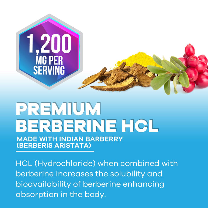 Berberine HCL 1200mg – 60 Veggie Capsules