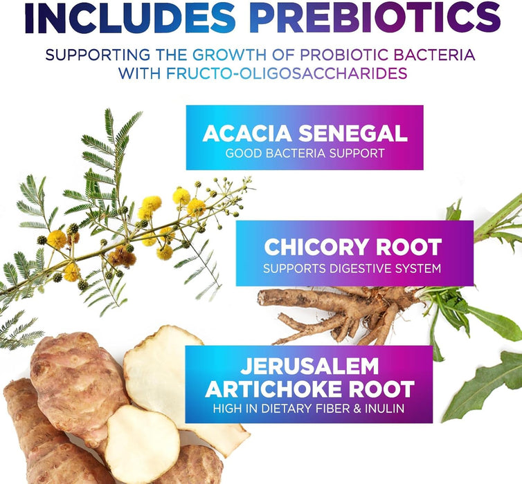 Daily Probiotics and Prebiotics 60 Billion CFU - 10 Diverse Strains for Digestion, Vaginal & Immune Health Support - Digestive Support for Men and Women, Dairy, Soy and Gluten Free