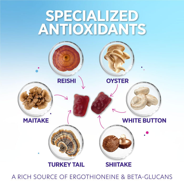 Mushroom Gummies – 60 Gummies