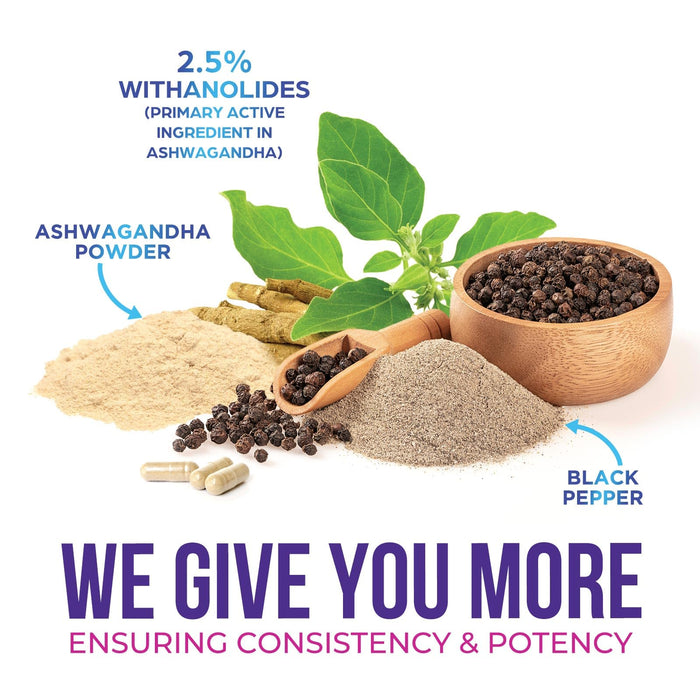 Ashwagandha 2100mg – 120 Capsules