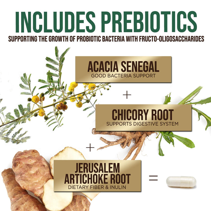 Probiotics 60 Billion CFU + 10 Strains – 60 Capsules