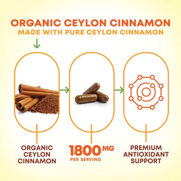 Organic Ceylon Cinnamon Supplement 1800mg - Certified Organic Ceylon Cinnamon Powder Pills - Energy & Heart Support for Women & Men, Bottled in USA, Antioxidant, Gluten Free, Non-GMO - 180 Capsules
