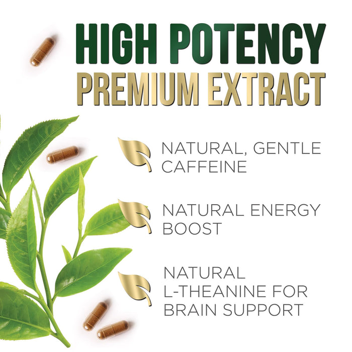 Green Tea Extract Capsules with EGCG – 1000mg – 240 Capsules