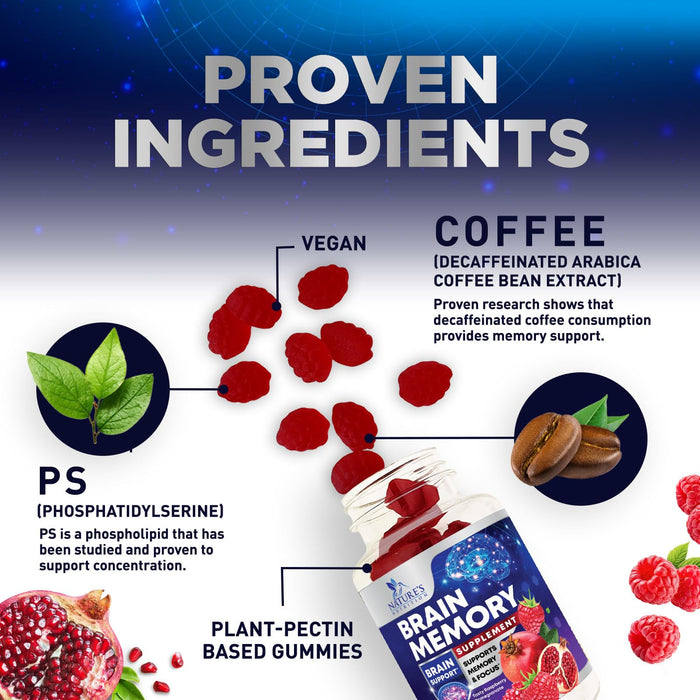 Brain & Focus Nootropic Formula – 60 Vegan Gummies