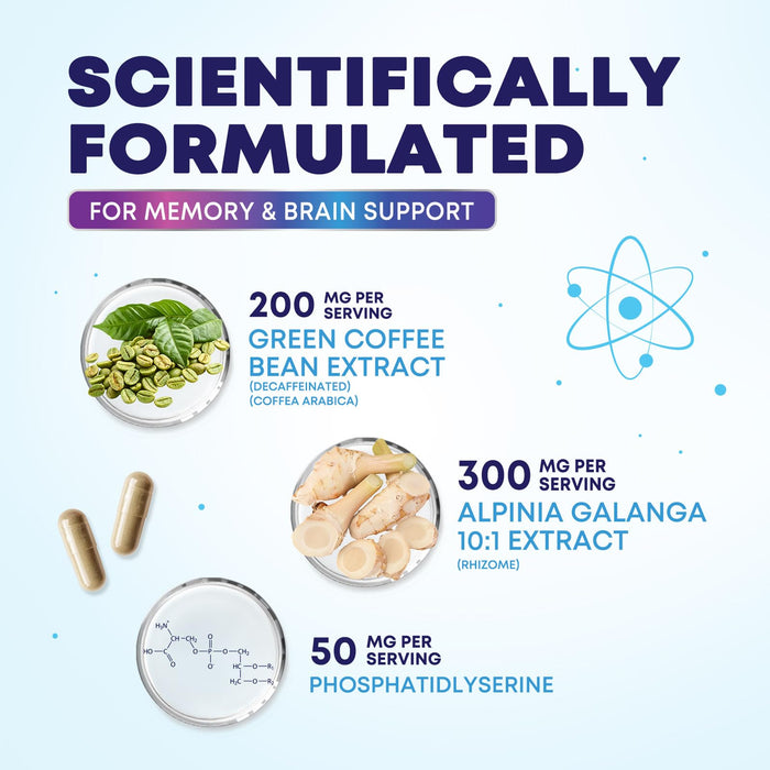 Brain Memory – 240 Capsules