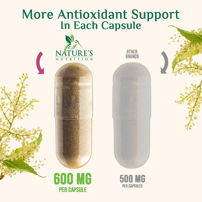Resveratrol 1800mg Per Serving - Potent Antioxidants for Immune Support - Extra Strength Trans-Resveratrol Supplement Supports Healthy Aging & Heart Health - from Natural Polygonum Root