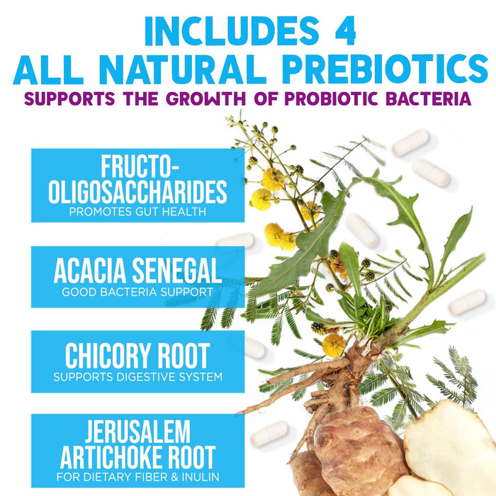 Probiotics 100 Billion CFU – 60 Capsules