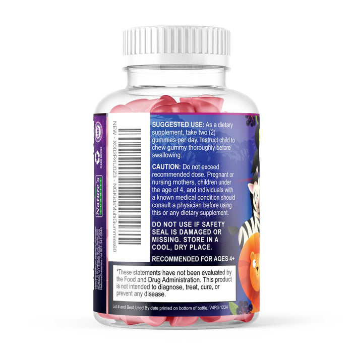Multivitamin for Kids Gummies with Vitamin C – 60 Gummies