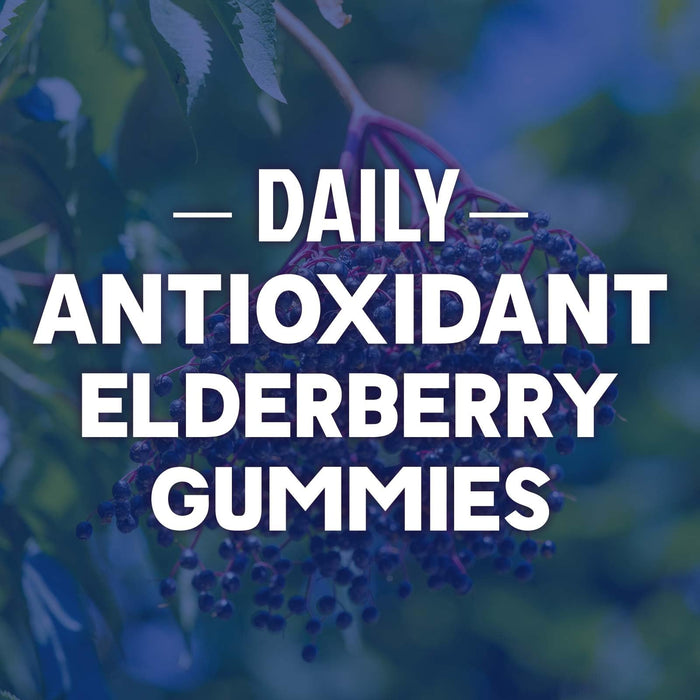 Immune Support Gummies – 120 Gummies