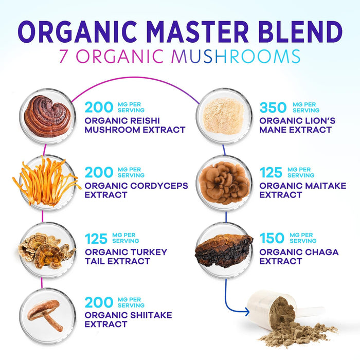 Brain Mushroom Powder – 60 Servings