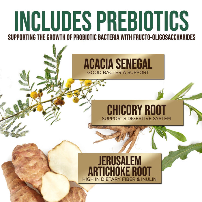 Probiotics 60 Billion CFU + 10 Strains - Daily Probiotic Lactobacillus Blend for Immune, Digestive & Gut Health Support, Prebiotics and Probiotics, Gas & Bloating for Women & Men - 120 Capsules