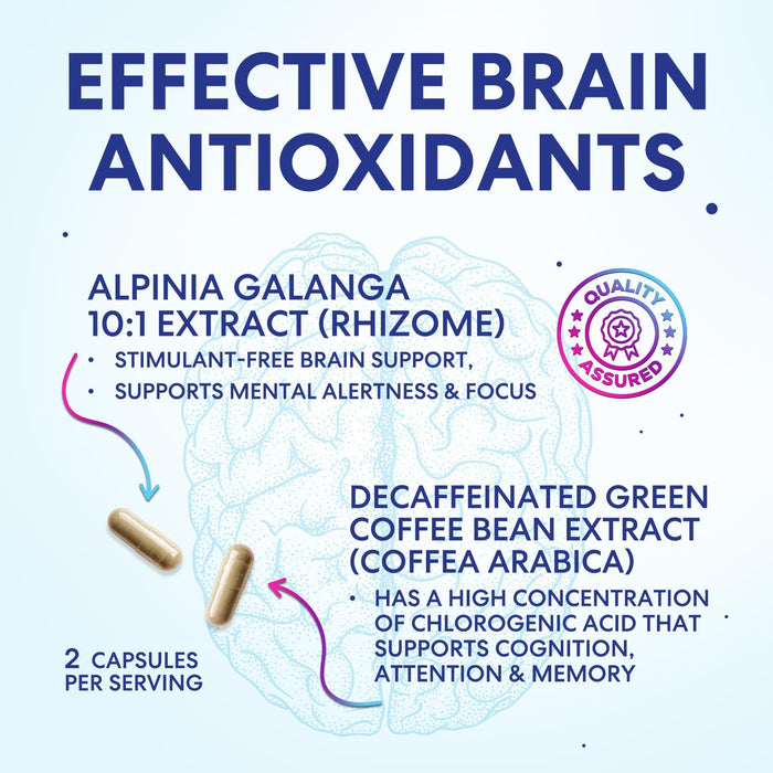 Brain Memory – 120 Capsules