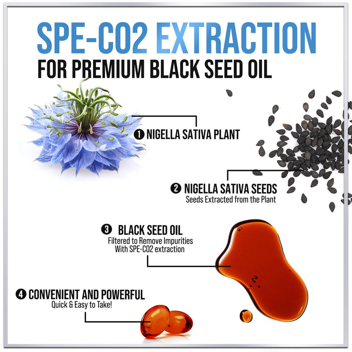 Black Seed Oil Softgels 1000mg – 60 Softgels