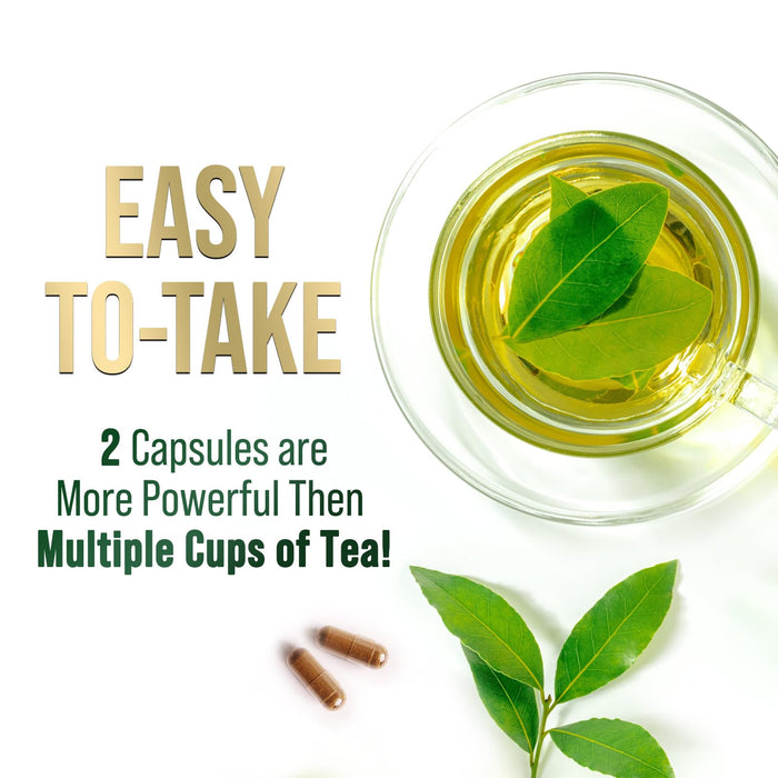 Green Tea Extract Capsules 1000mg 98% Standardized EGCG - 3X Strength for Natural Energy - Heart Support with Polyphenols - Gentle Caffeine - 60 Capsules