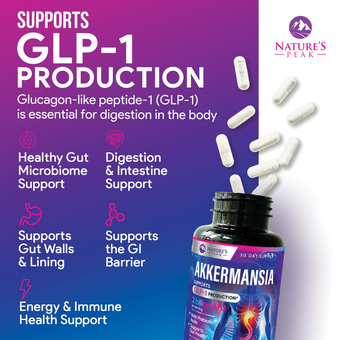 Akkermansia Probiotic – 60 Capsules