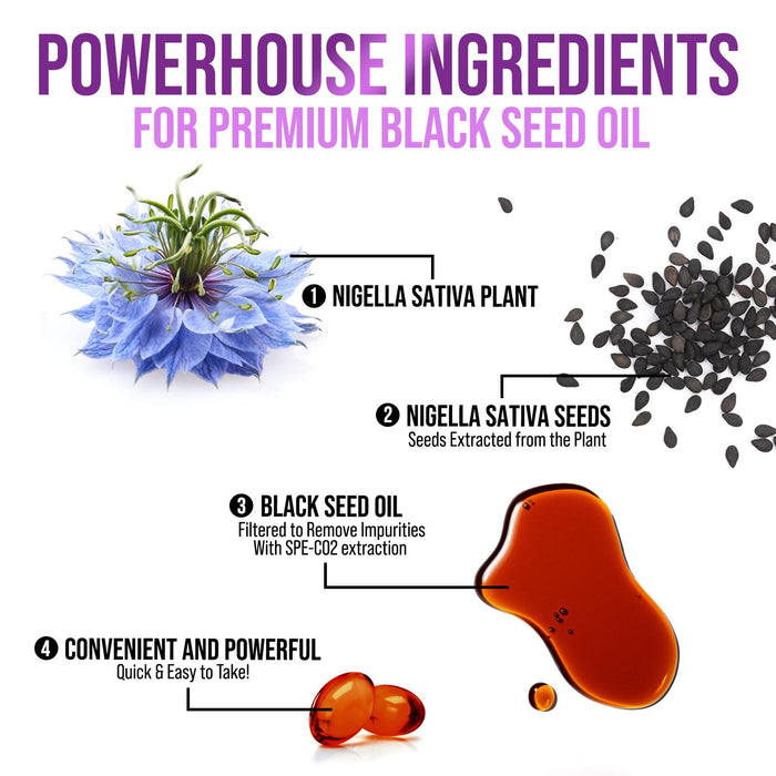 Black Seed Oil Capsules 1000mg with Thymoquinone – 120 Softgels