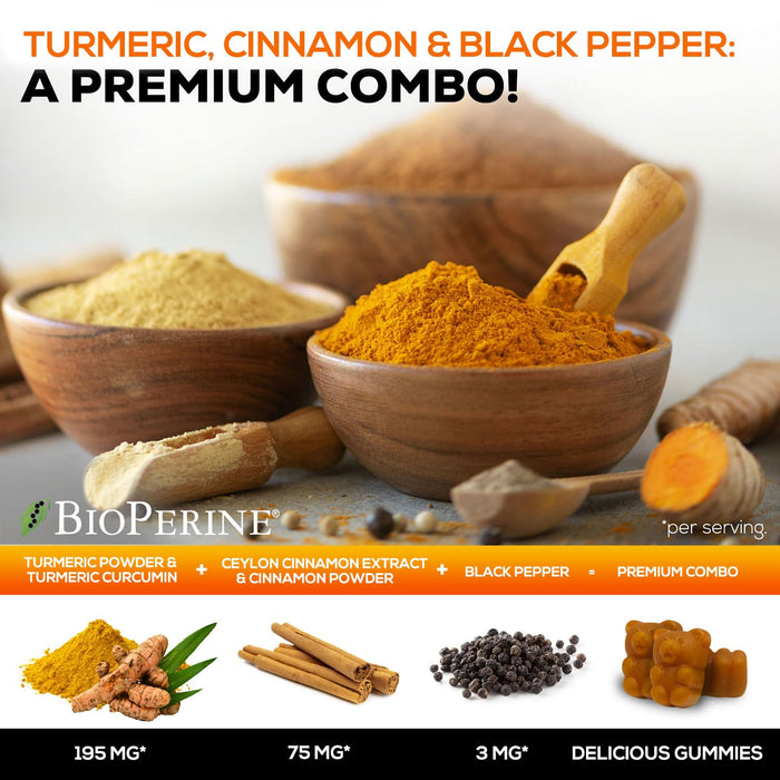 Turmeric Curcumin Supplement Gummies with Ginger & Cinnamon, 95% Curcuminoids Turmeric Curcumin Gummy with Black Pepper for Best Absorption, Nature's Vegan Joint Support Tumeric, Non-GMO, 60 Gummies