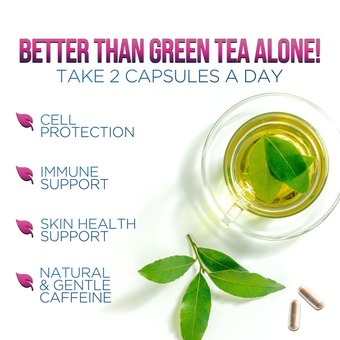 Green Tea Extract Pills - 98% Standardized EGCG 1300mg 3X Strength for Natural Energy - Supports Heart & Antioxidant Health Herbal & Immune Support Supplement Polyphenols & Catechins - 60 Capsules