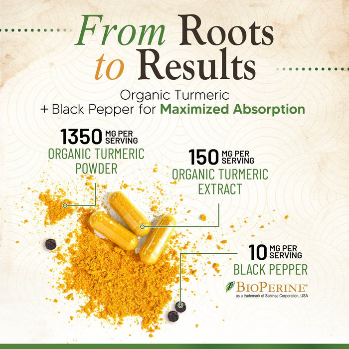 Turmeric Curcumin 1500mg – 360 Capsules