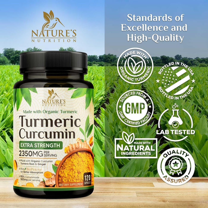 Turmeric Curcumin Supplement 1750mg with Organic Turmeric & Ginger, 95% Curcuminoids, BioPerine Black Pepper for Best Absorption, Nature's Vegan Joint Support, Non-GMO, Bottled in USA - 120 Capsules