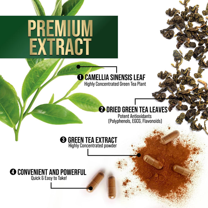 Green Tea Extract Capsules with EGCG – 1000mg – 60 Capsules