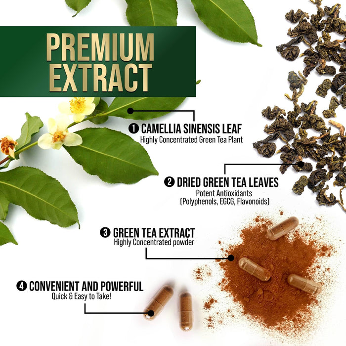Green Tea Extract Capsules with EGCG – 1000mg – 120 Capsules