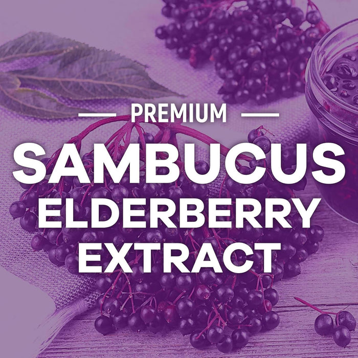 Nature's Sambucus Elderberry Gummies Immune Gummies with Vitamin C and Zinc, Immune Support Gummy Vitamin Supplement, Black Elderberry for Adults & Kids - Gluten Free Non-GMO