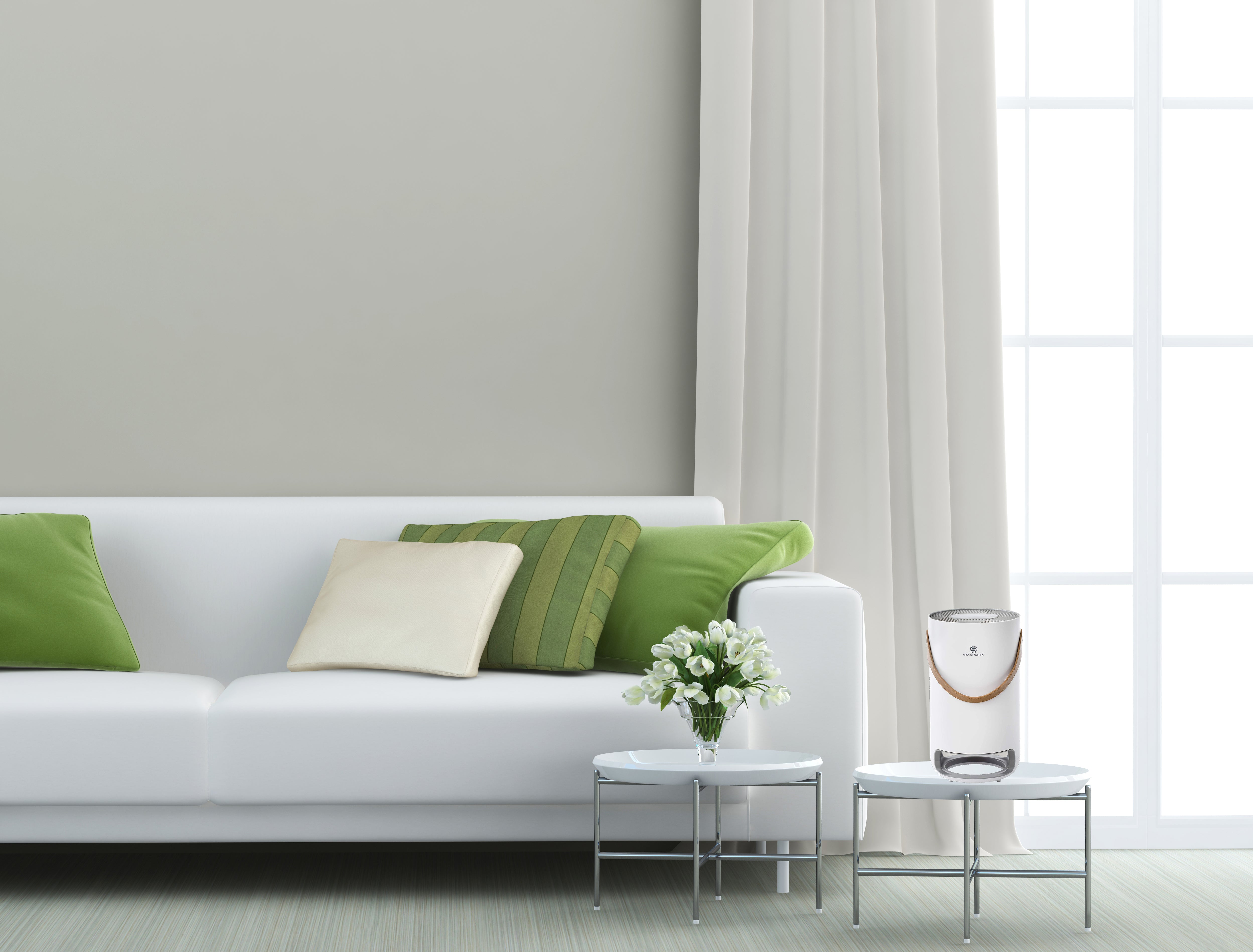 SilverOnyx Air Purifiers, Supplements and Vitamins — SilverOnyx LLC