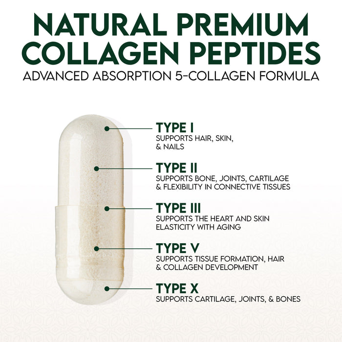 Collagen Peptides for Women & Men - Type I, II, III, V, X Multi Collagen, Hydrolyzed Collagen Supplement Supports Hair, Nail, Skin, Bone and Joint Health with Vital Nutrients & Proteins