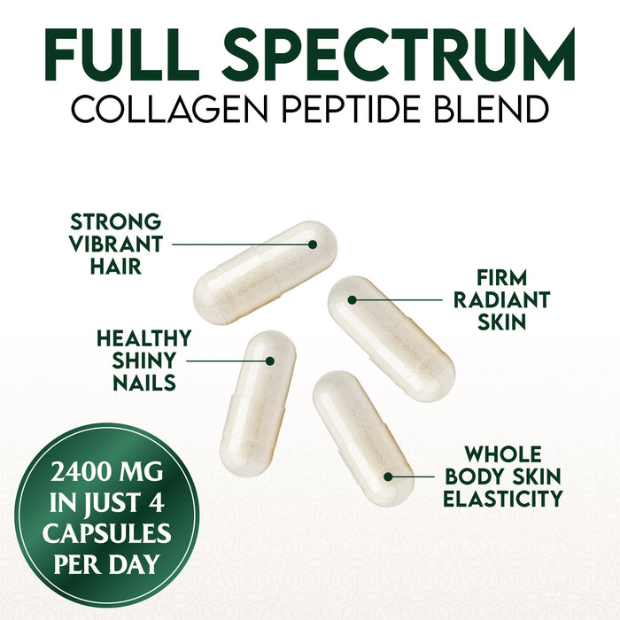 Collagen Peptides for Women & Men - Type I, II, III, V, X Multi Collagen, Hydrolyzed Collagen Supplement Supports Hair, Nail, Skin, Bone and Joint Health with Vital Nutrients & Proteins