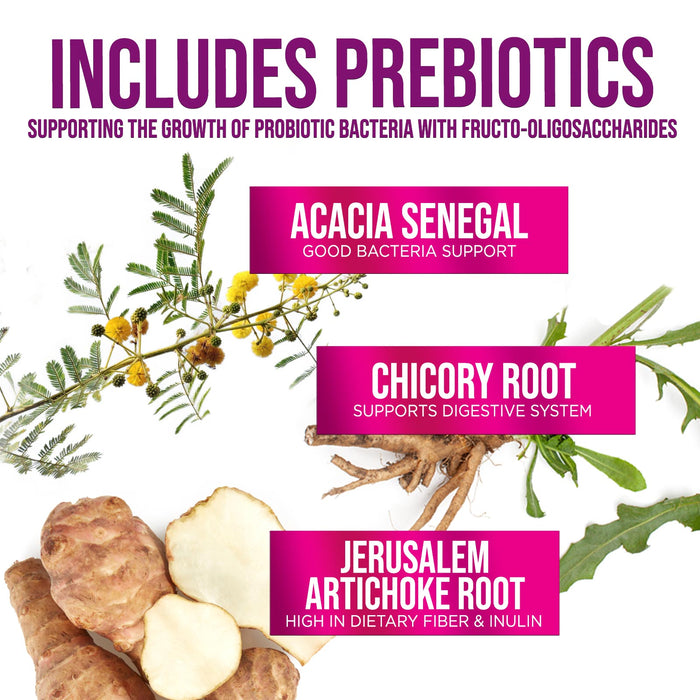 Probiotics, 60 Billion CFU per Serving, Probiotic with Prebiotics for Digestive & Immune Health Support for Women & Men - Nature's Supplement is Shelf Stable, Soy, Dairy & Gluten Free