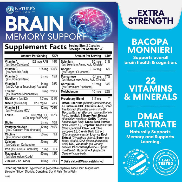 Brain Supplement for Memory and Focus, Nootropic Support for Concentra —  SilverOnyx LLC